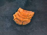 Plaquette saumon